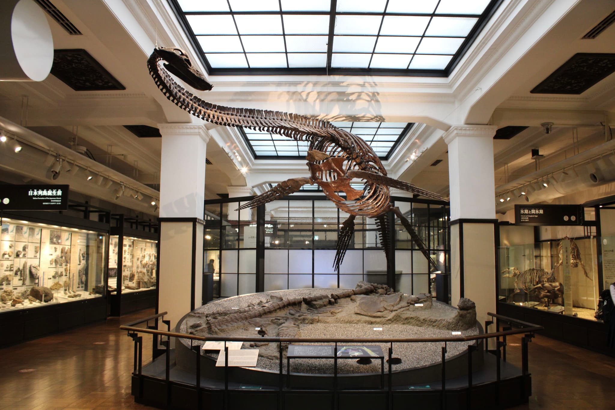 natural history