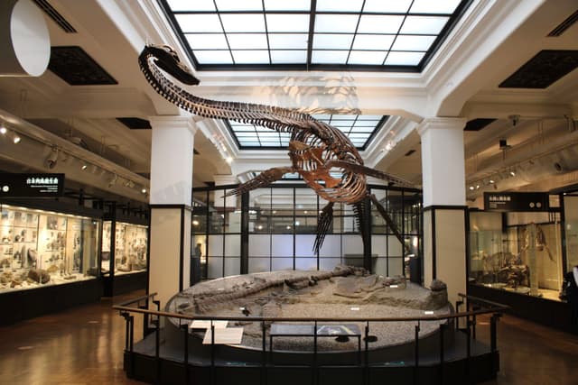 natural history