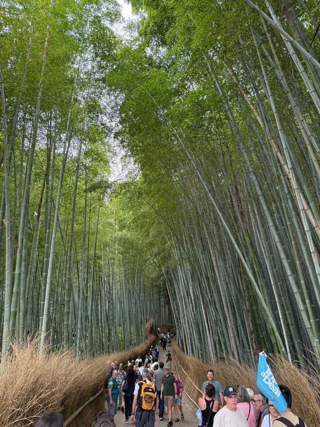 arashiyama