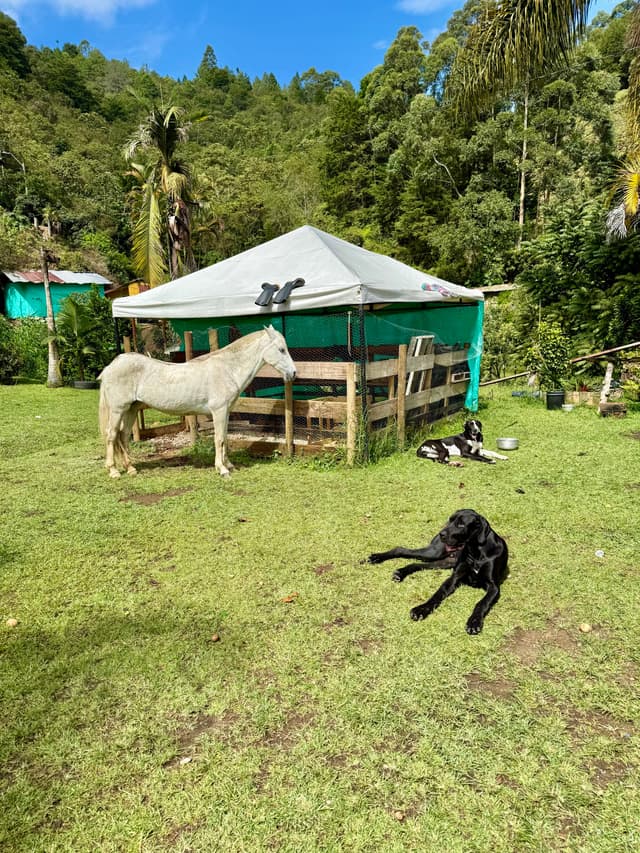 farm